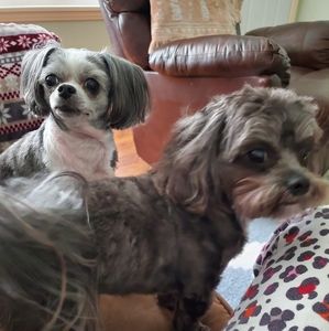 Meet your Posher, Peggy